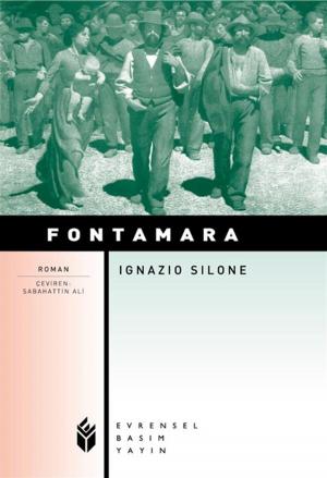 Cover of the book Fontamara by Enver Gökçe