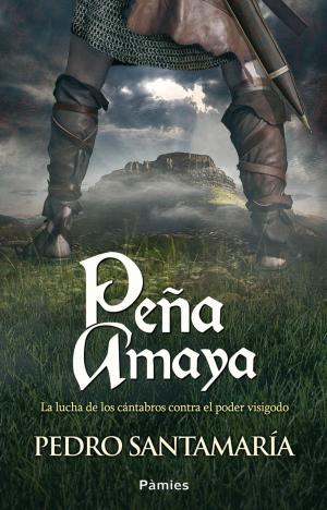 Cover of the book Peña Amaya by Santiago Morata