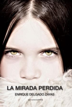 Cover of the book La mirada perdida by Sylvia Volk