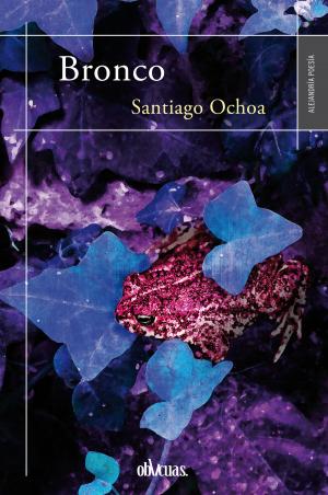 Cover of the book Bronco by Antonio Cano Lax