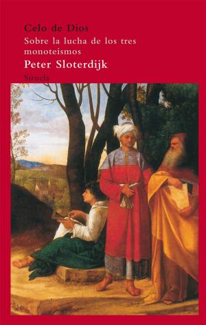 Cover of the book Celo de Dios by Jostein Gaarder