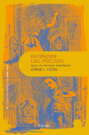 Cover of the book Entender la psicosis by Jesper Juul