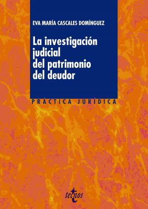 Cover of the book La investigación judicial del patrimonio del deudor by Jesús Sáez González