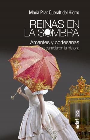 Cover of the book Reinas en la sombra by Johnny de'Carli