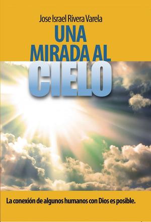 Book cover of Una mirada al cielo