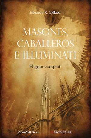 Cover of the book Masones, caballeros e illuminati by Anselmo Vega Junquera