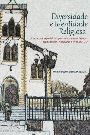 Cover of the book Diversidade e identidade religiosa by Vinícius Nascimento Cerqueira