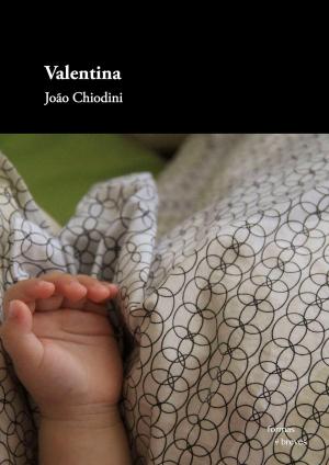 Cover of the book Valentina by Gonzalo Cárcamo