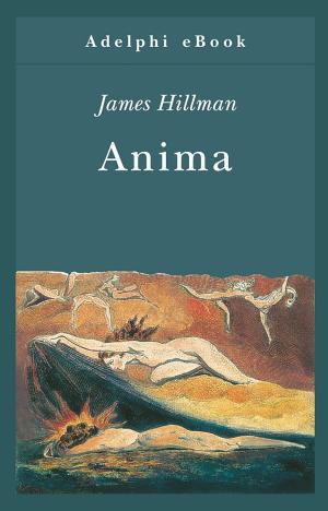 Cover of the book Anima by Jean Echenoz