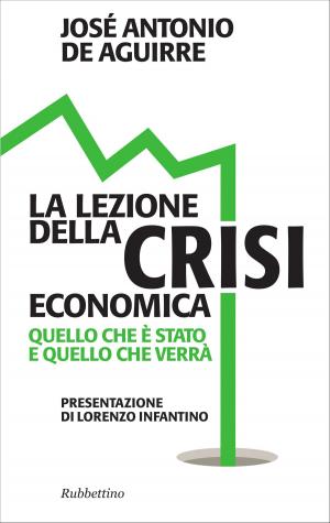 Cover of the book La lezione della crisi economica by Barbara Di Salvo, Renato Brunetta