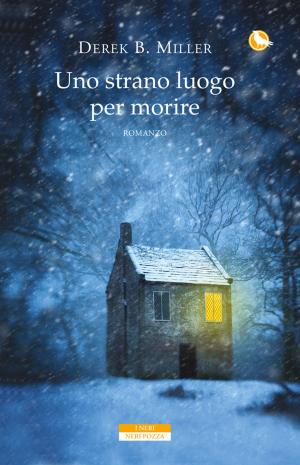 Cover of the book Uno strano luogo per morire by Peter Stamm
