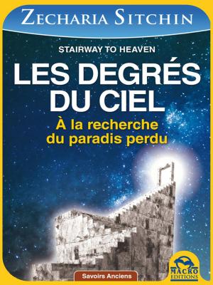 Cover of the book Les degrés du Ciel by Eric De la Parra PAZ