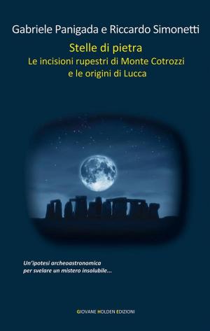 Book cover of Stelle di pietra
