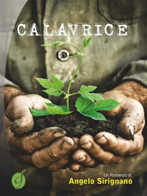 Cover of the book Calavrice by Sofia Vidal Delgado