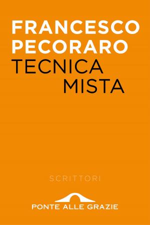 Cover of the book Tecnica mista by Noam Chomsky, Andre Vltchek