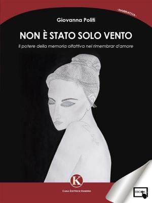 Cover of the book Non è stato solo vento by Viviana Ragone