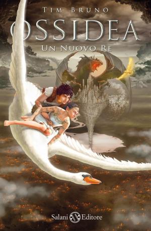Cover of the book Un nuovo re by Lemony Snicket