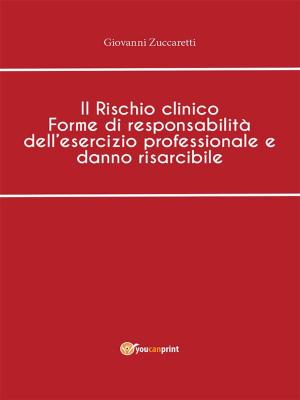 Cover of the book Il Rischio clinico Forme di responsabilità dell'esercizio professionale e danno risarcibile by Patrizia Fabbri