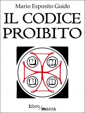 Cover of the book Il codice proibito by Giuseppe Vizzini