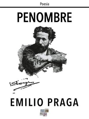 Book cover of Penombre