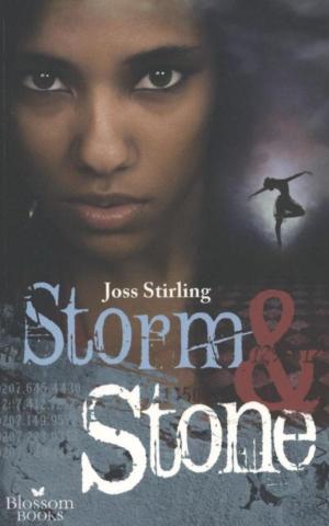 Cover of the book Storm & stone by Kass Morgan