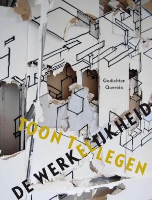 Cover of the book De werkelijkheid by Guus van Holland, Raf Willems