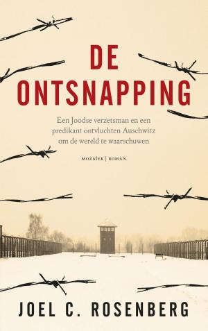 Cover of the book De ontsnapping by Simone Foekens