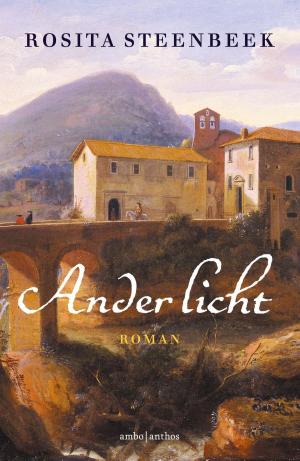 Book cover of Ander licht