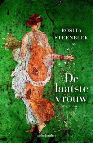 Book cover of De laatste vrouw