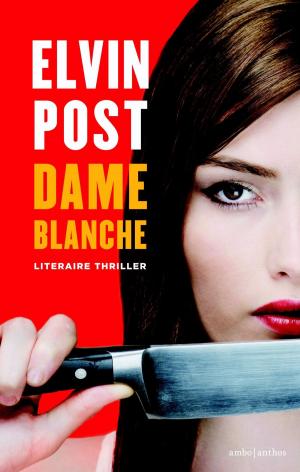 bigCover of the book Dame blanche by 