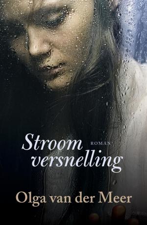 Cover of the book Stroomversnelling by Gerda van Wageningen
