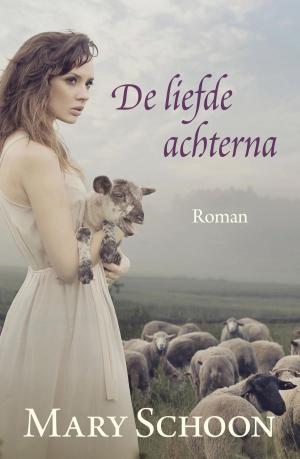 Cover of the book De liefde achterna by Reina Crispijn