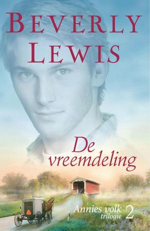 Cover of the book De vreemdeling - Annie's volk deel 2 by Alida Groeneveld, Stephan de Jong