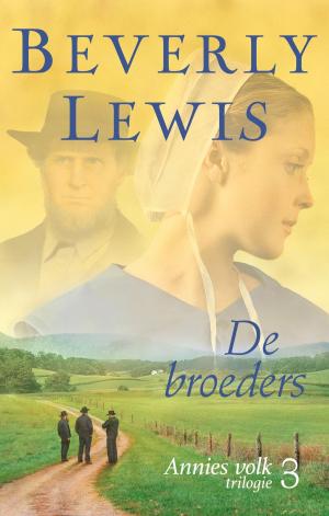Cover of the book De broeders by Ted Dekker