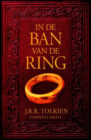 Cover of the book In de ban van de ring-trilogie by Daniel Silva
