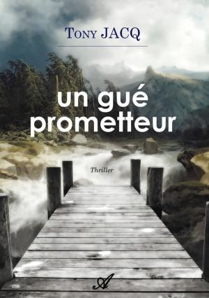 Cover of the book Un gué prometteur by Nathalie Girard