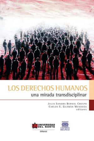 Book cover of Los derechos humanos. Una mirada transdisciplinar