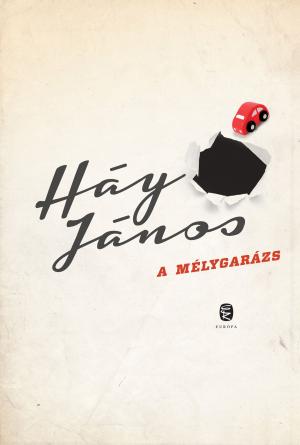 Book cover of A mélygarázs