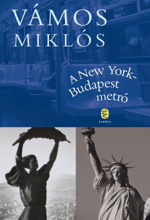 Cover of the book A New York-Budapest metró by Háy János