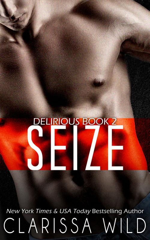 Cover of the book Seize (Delirious Book 2) - BDSM Billionaire Dark Romance by Clarissa Wild, Clarissa Wild