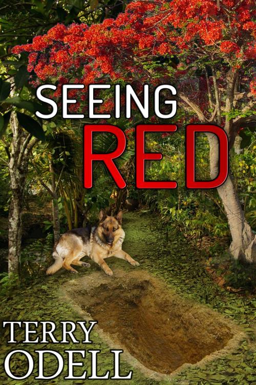 Cover of the book Seeing Red by Terry Odell, Terry Odell