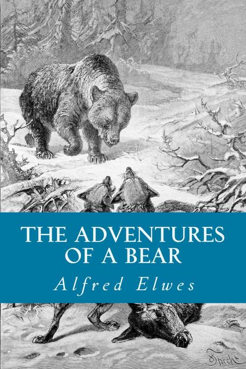 Cover of the book The Adventures of a Bear by Alfred Elwes, True North