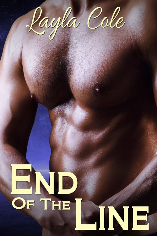 Cover of the book End of the Line by Layla Cole, Layla Cole