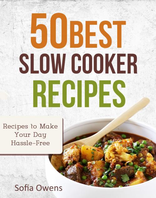 Cover of the book 50 Best Slow Cooker Recipes by Sofia Owens, Sofia Owens