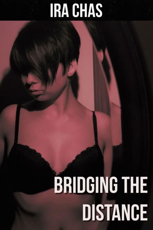 Cover of the book Bridging the Distance by Ira Chas, Excessica