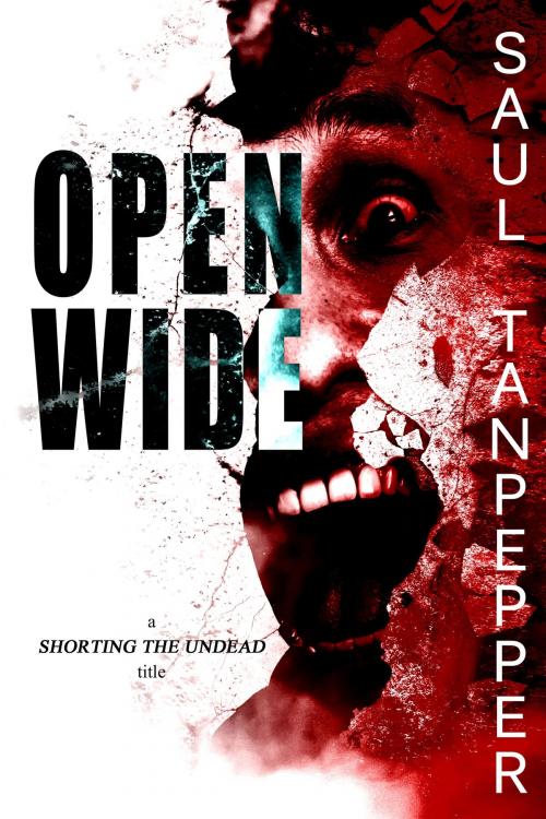 Cover of the book Open Wide by Saul Tanpepper, Brinestone Press