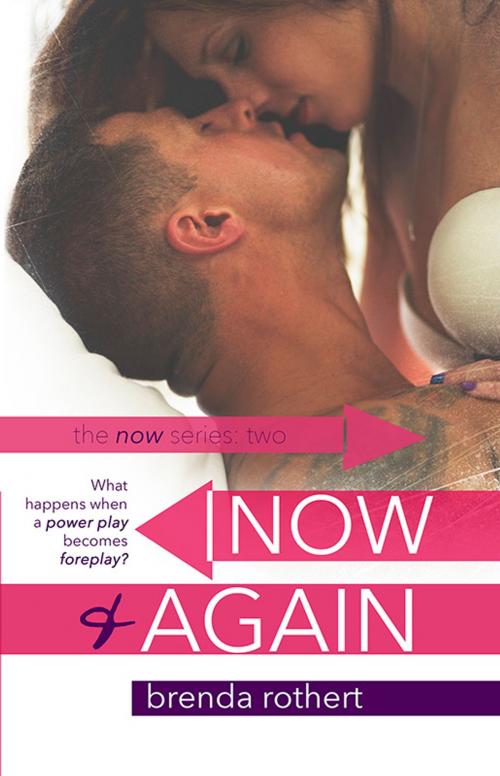 Cover of the book Now and Again by Brenda Rothert, Silver Sky Publishing, Inc.