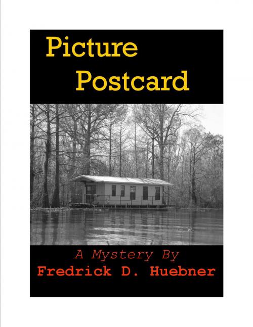 Cover of the book Picture Postcard by Frederick Huebner, Curtis Brown Unlimited