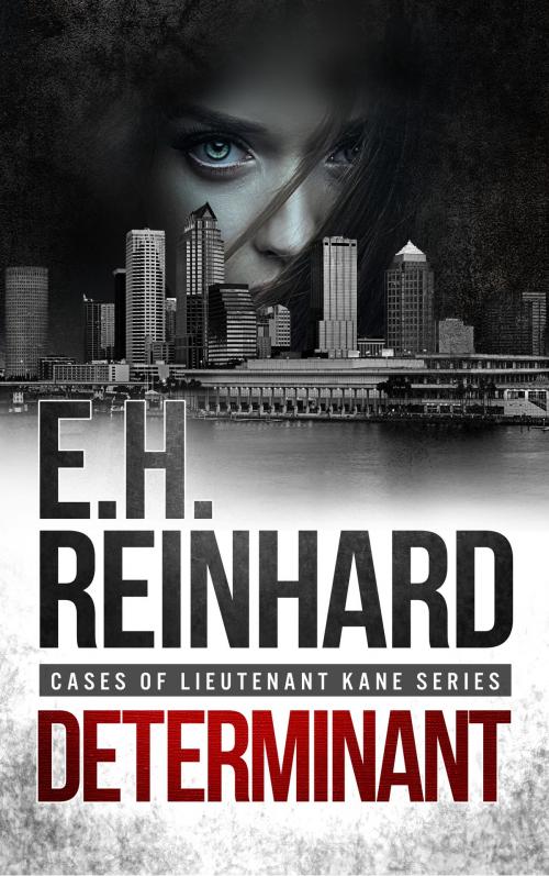 Cover of the book Determinant by E.H. Reinhard, E.H. Reinhard