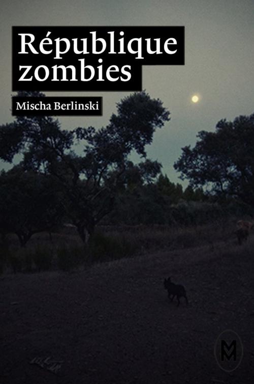 Cover of the book République zombies by Mischa Berlinski, Julie Etienne, Elodie Perrin, Moyen-Courrier